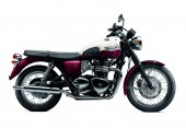 2013 Triumph Bonneville T100 photo